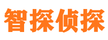 隆子寻人公司